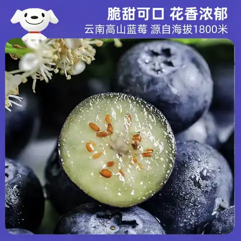 蓝莓自由！每盒只要4.5元：京觅 当季云南花香蓝莓 12mm-14mm 净重125g*12盒