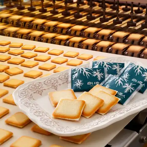 今日必买：白色恋人 北海道黑白巧克力夹心饼干礼盒零食春节36枚