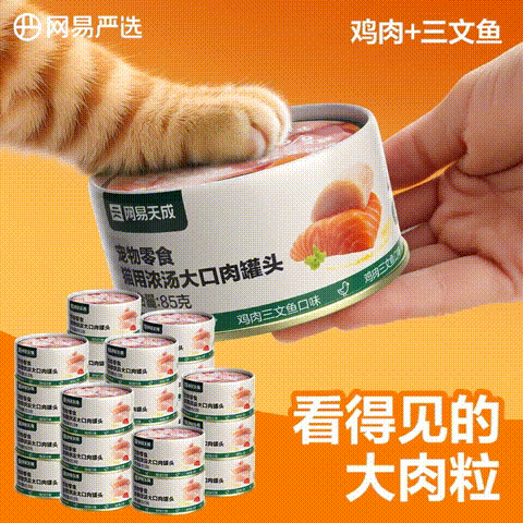 网易天成 浓汤大口肉罐头鸡肉+三文鱼 85g*24罐